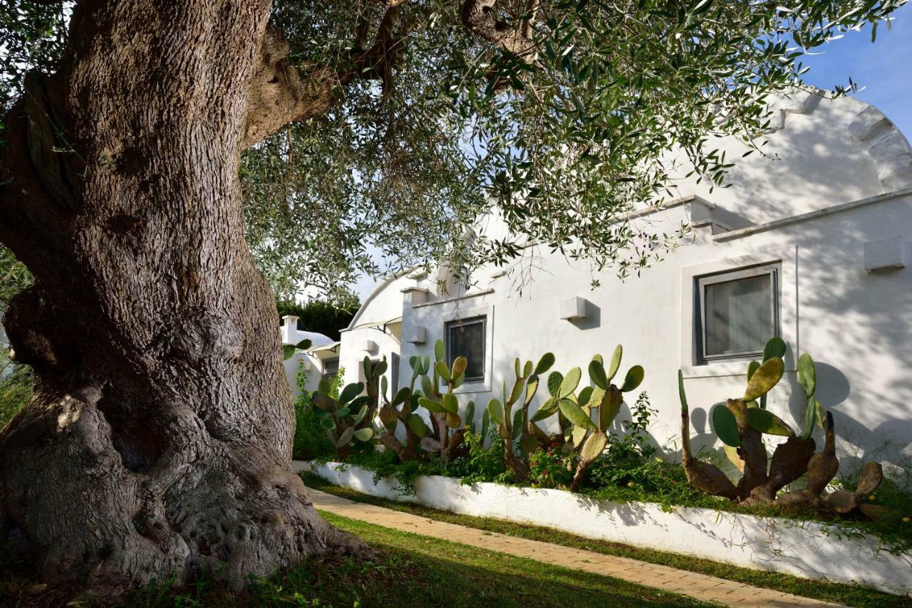 B&B Trullo Barbagiullo 奇斯泰尼诺 外观 照片